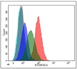 PLA2R1 Antibody (12-6-5) - Azide and BSA Free, Novus Biologicals 0.1 mL;